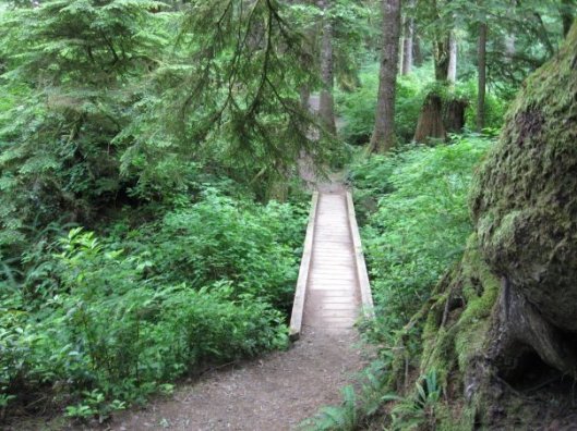 Part of the trail to Second Beach.