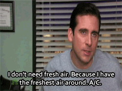 Michael Scott, "The Office."